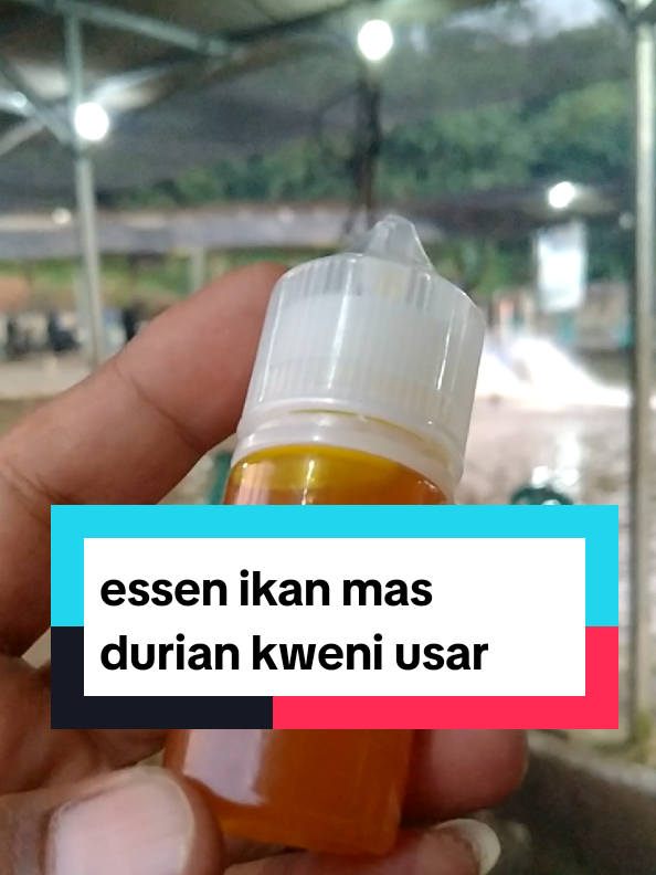 @Berkah FS