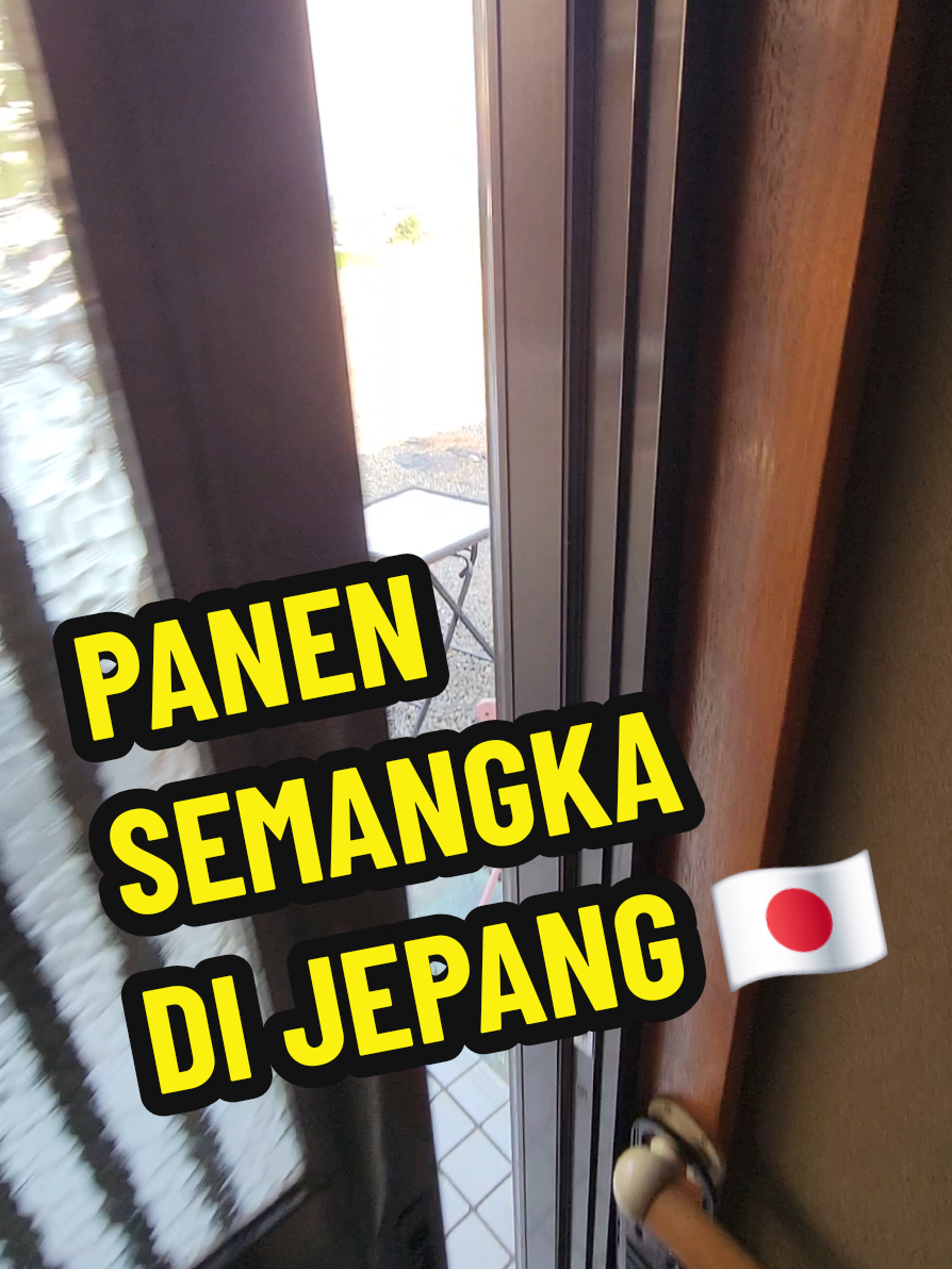 @DU DU WI ๐