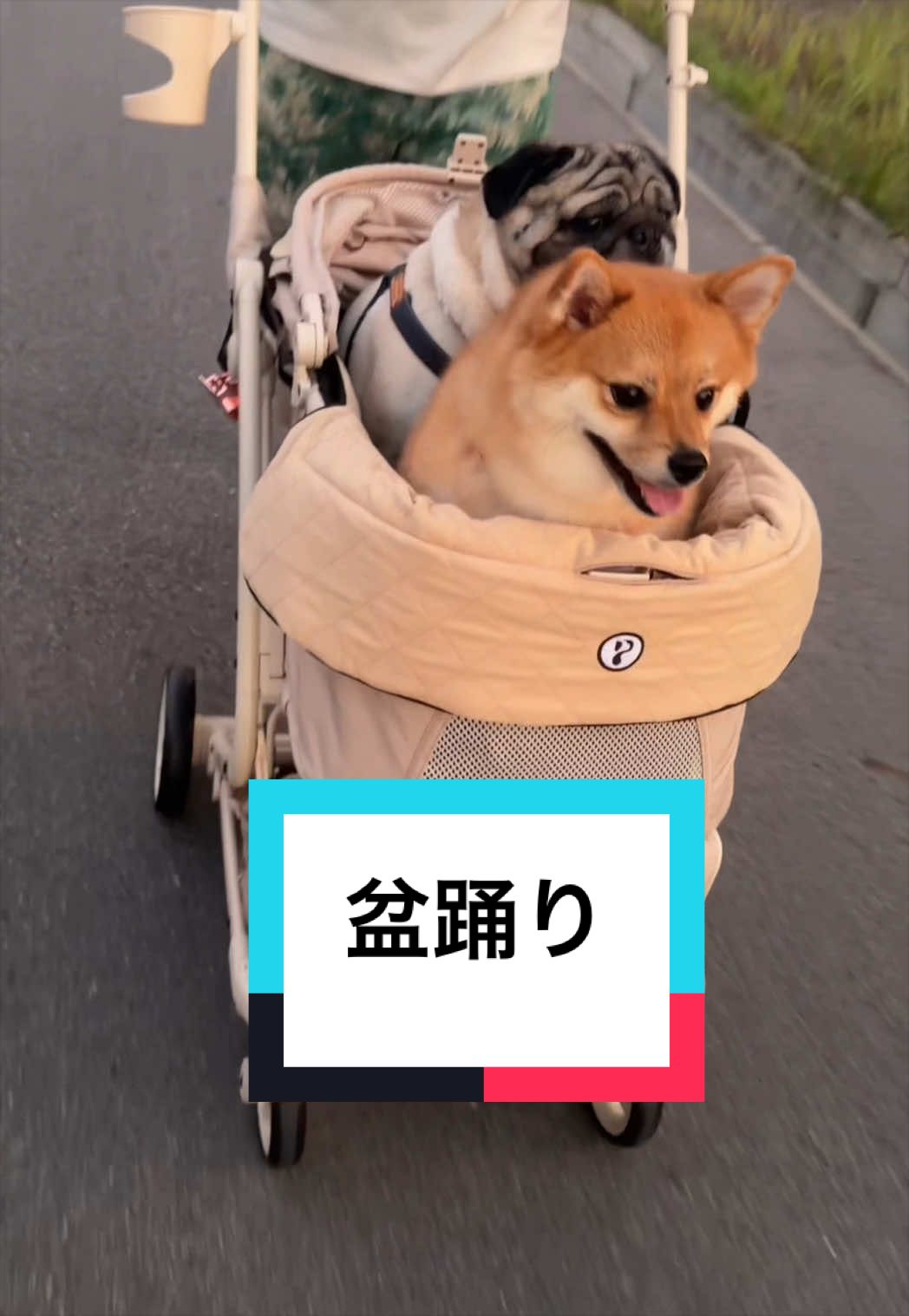 @🐶とん&ぺっぺこぺー🦊