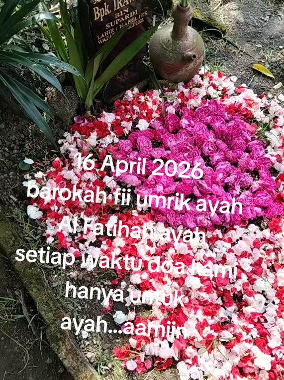 @evicahya29