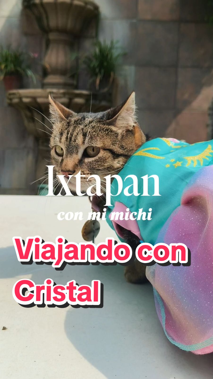 @Rayito, Jake, Ivar & Cristal
