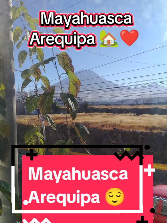 @Mayahuasca❤️