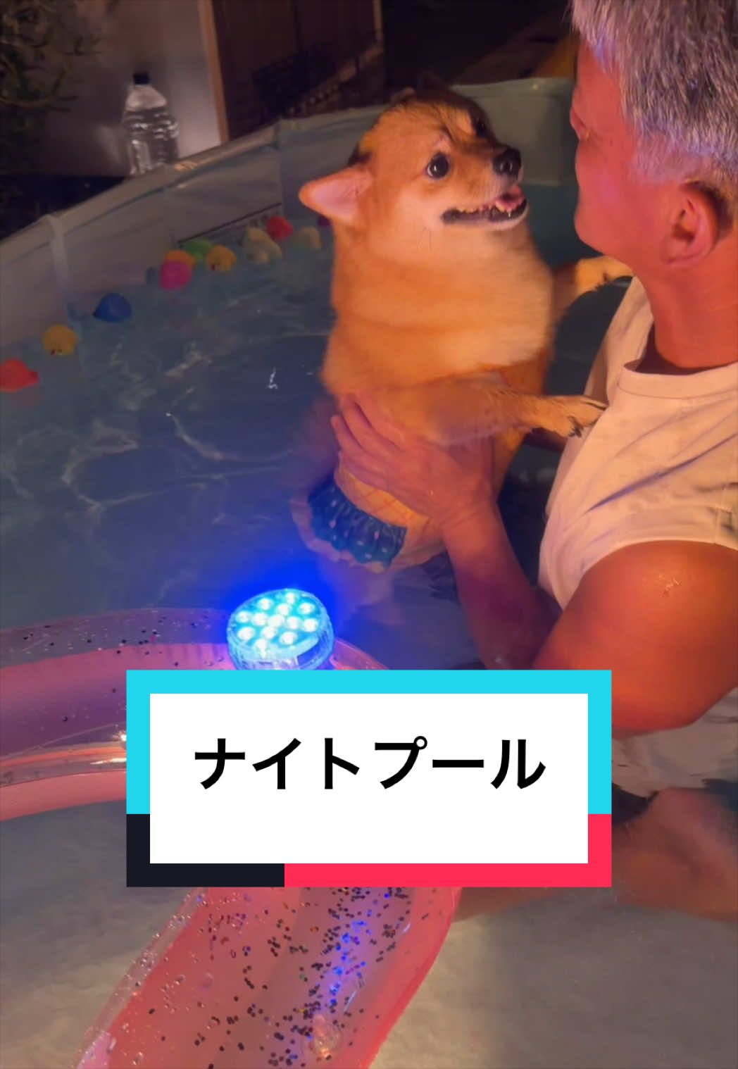 @🐶とん&ぺっぺこぺー🦊