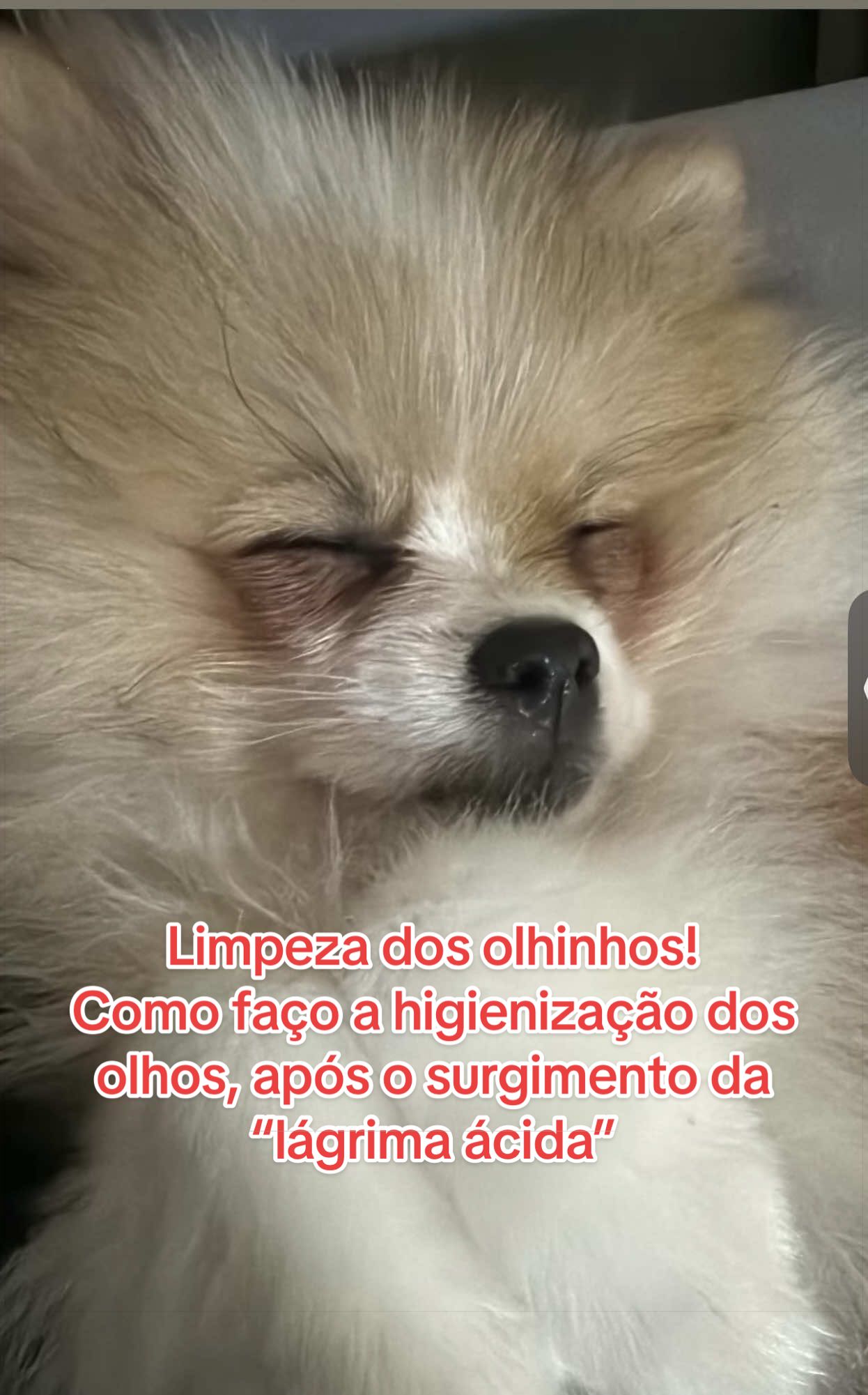 @CamilaEmanuely