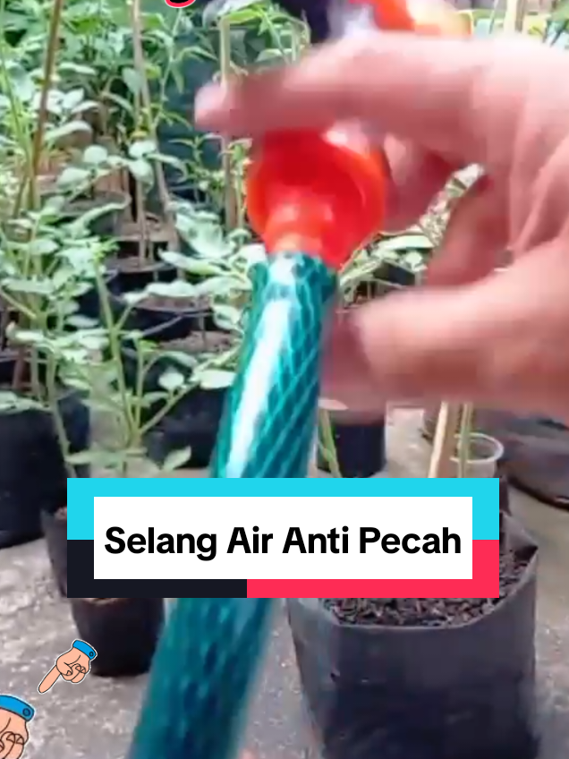 @Roslan.Robert