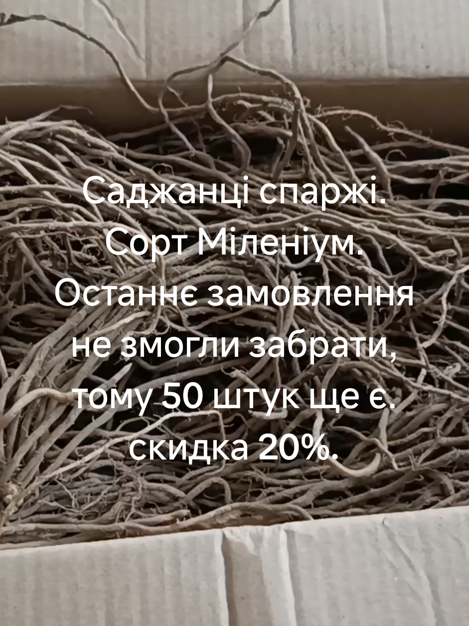 @Олег