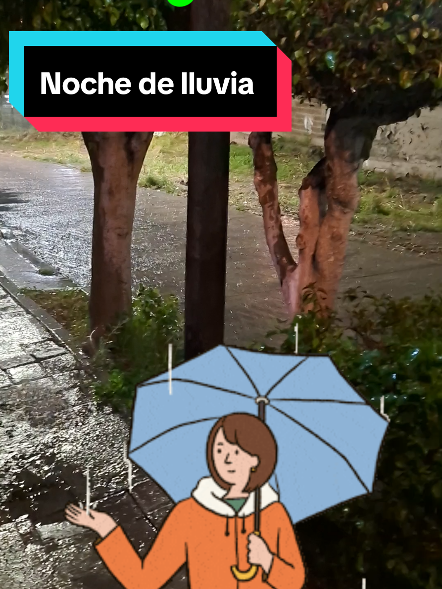 @eljardinmagicodepatym