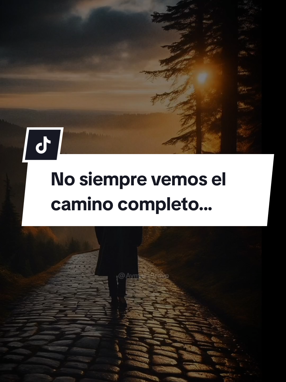 @Aymar Bravo🖤
