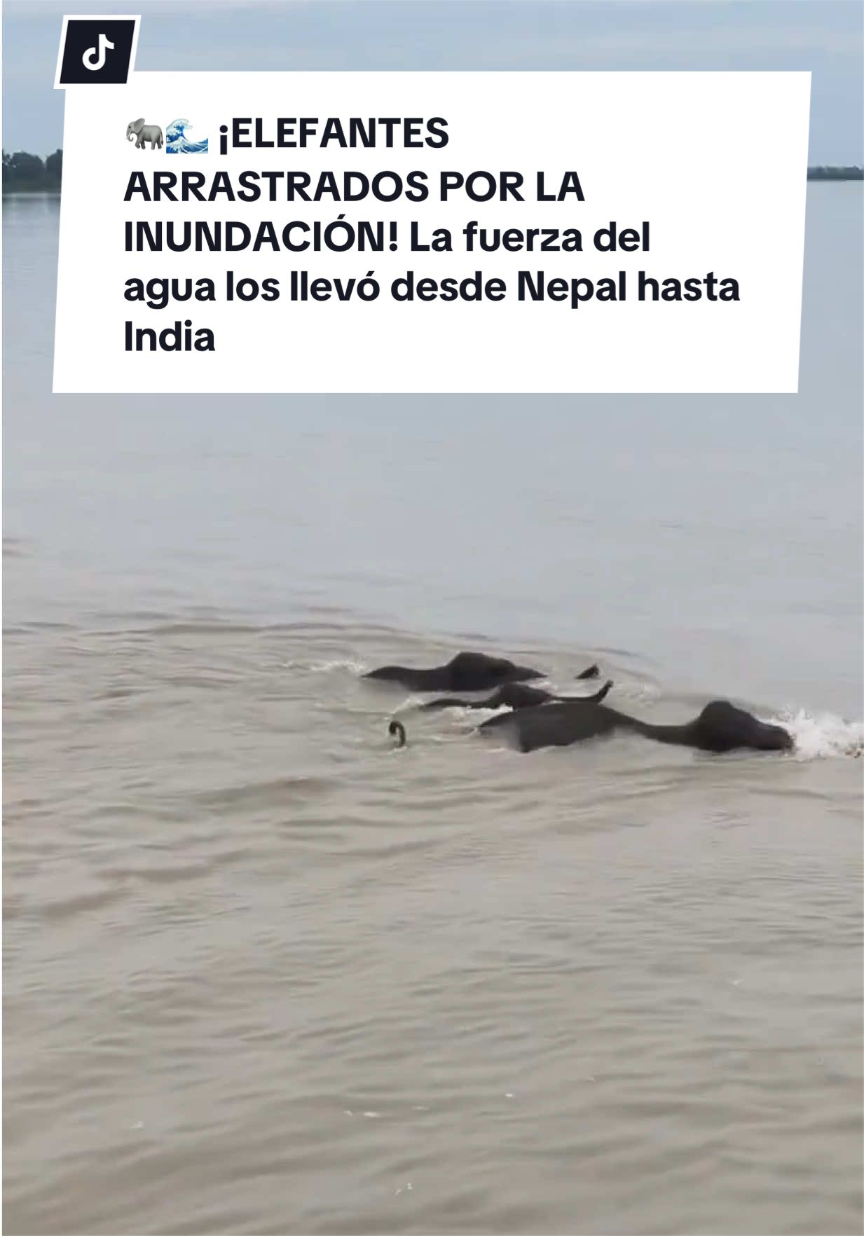 @Diario El Comercio