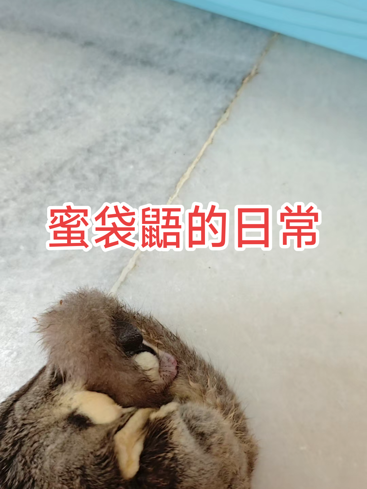 @🔱雷吉🔱 𝘙𝘌𝘎𝘎𝘐𝘌♒♂