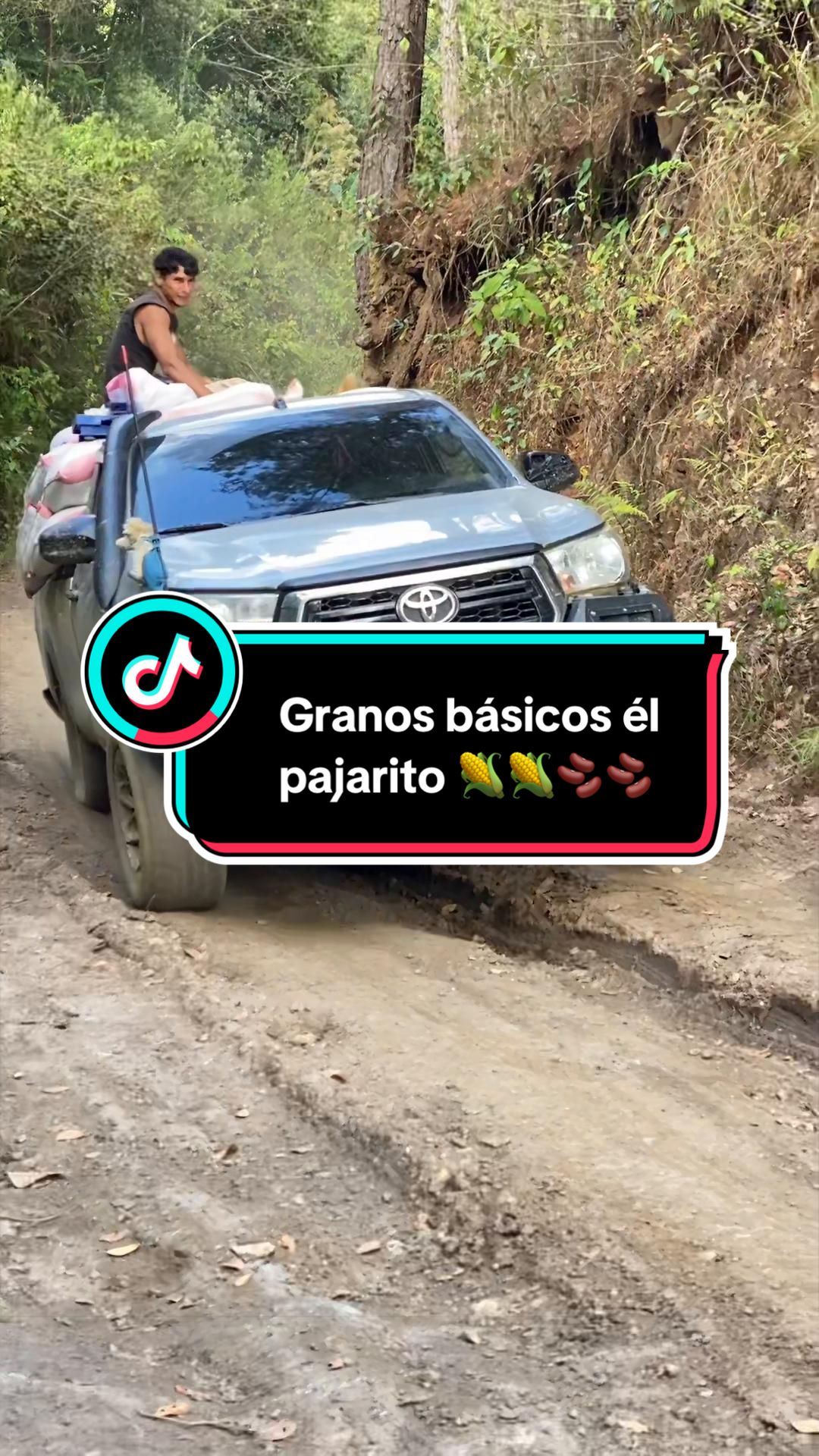 @Granos básicos él pajarito 🌽