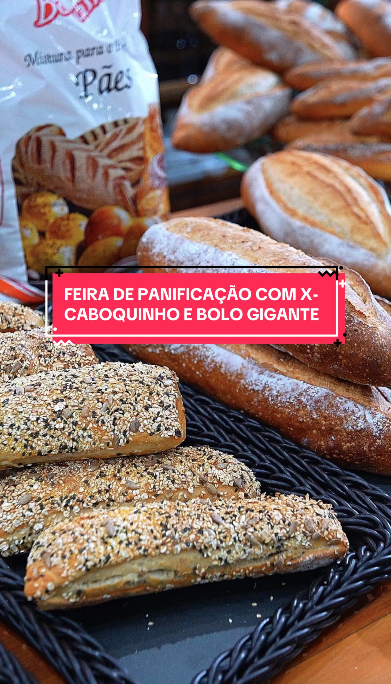 @O que fazer em Manaus?