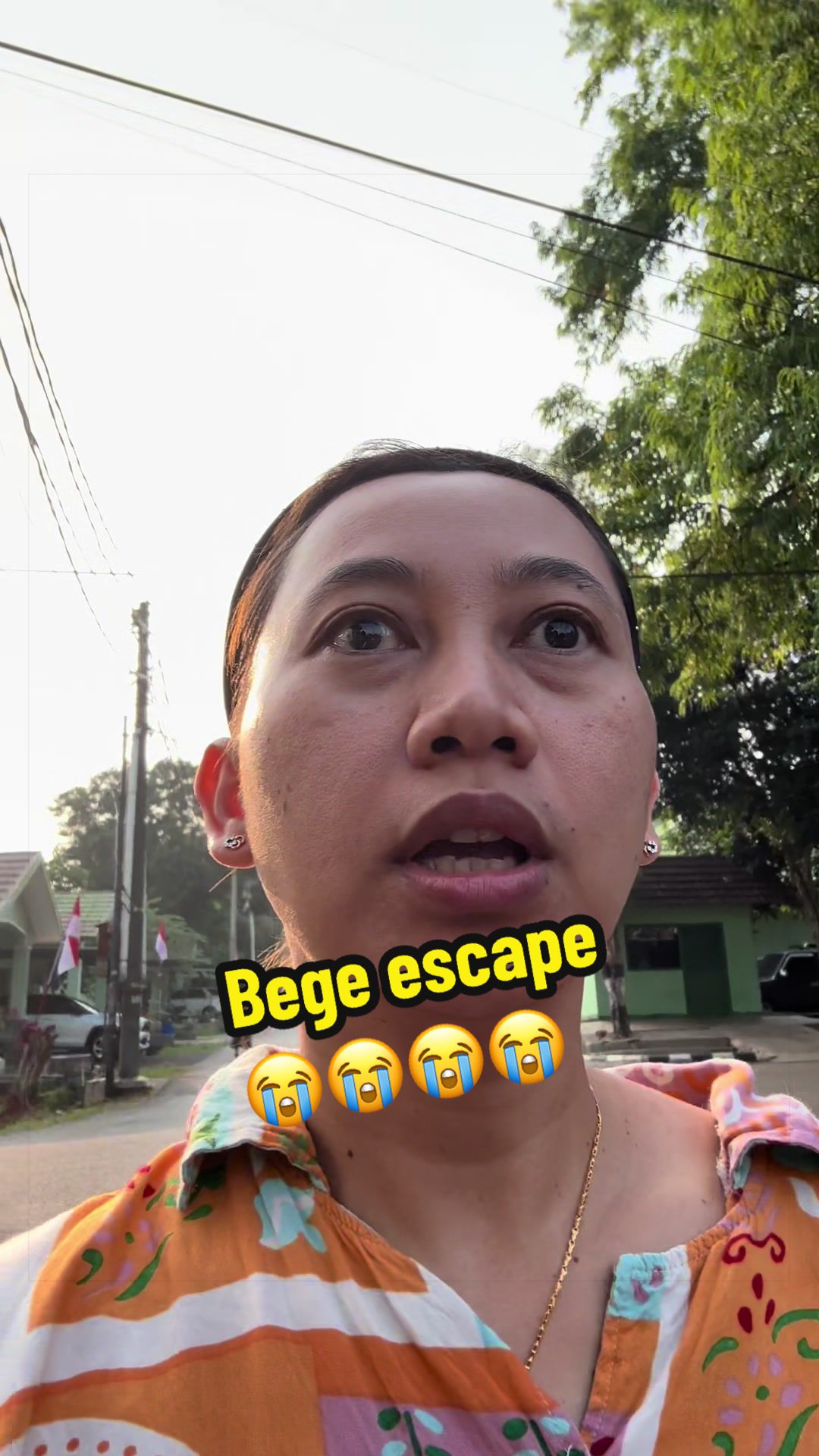 @bio_bege