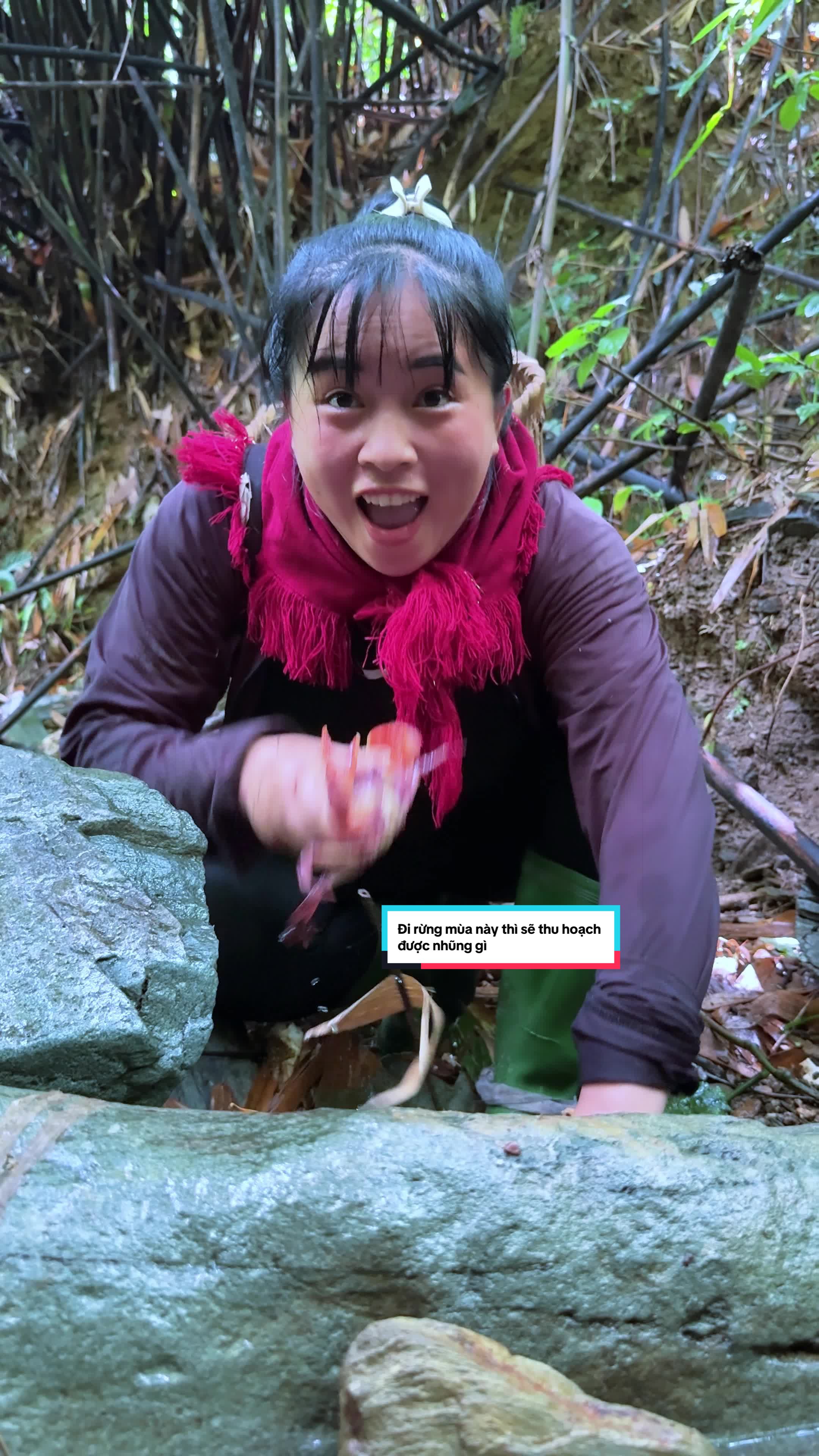 @Sức T&agrave;y