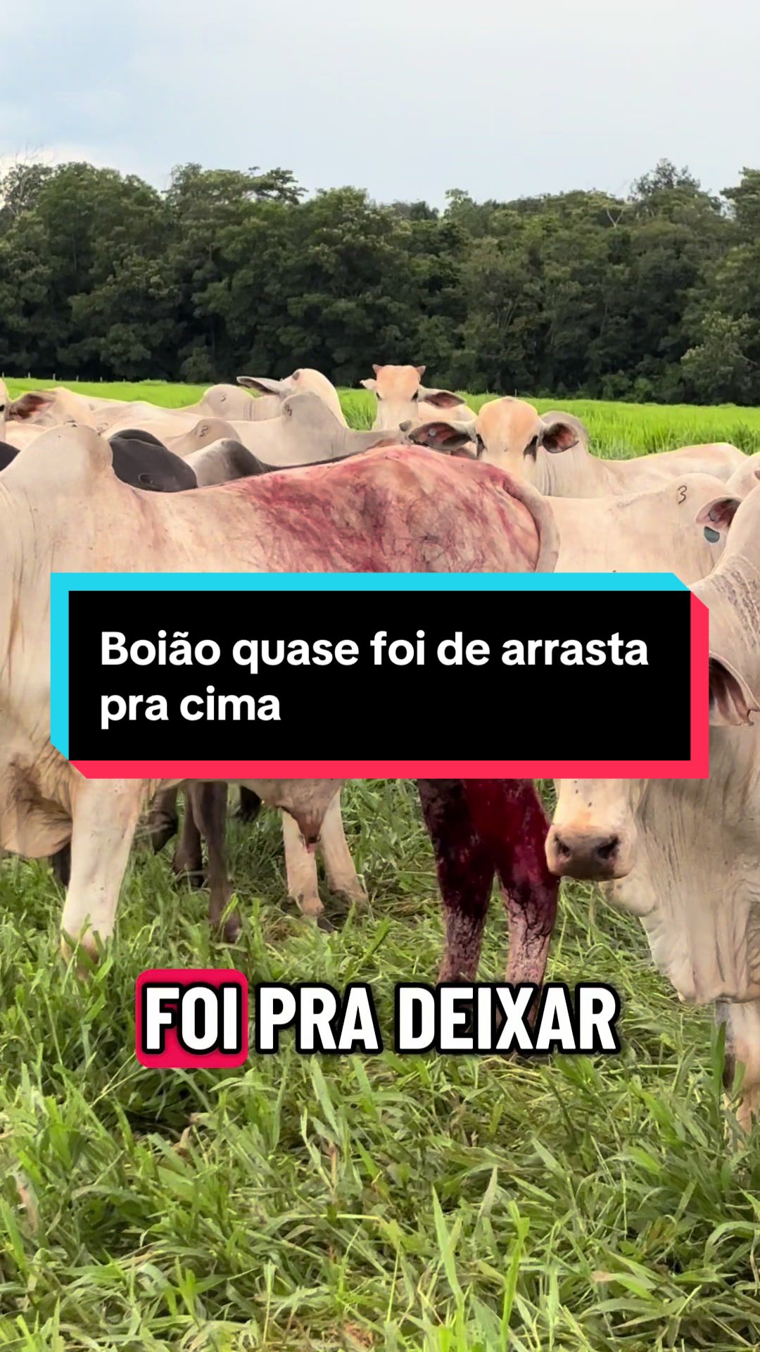 @🍀Santos🚜