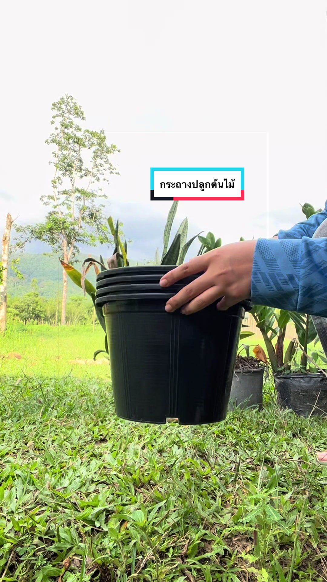 @คุณ ชาร์ ᴗ̈