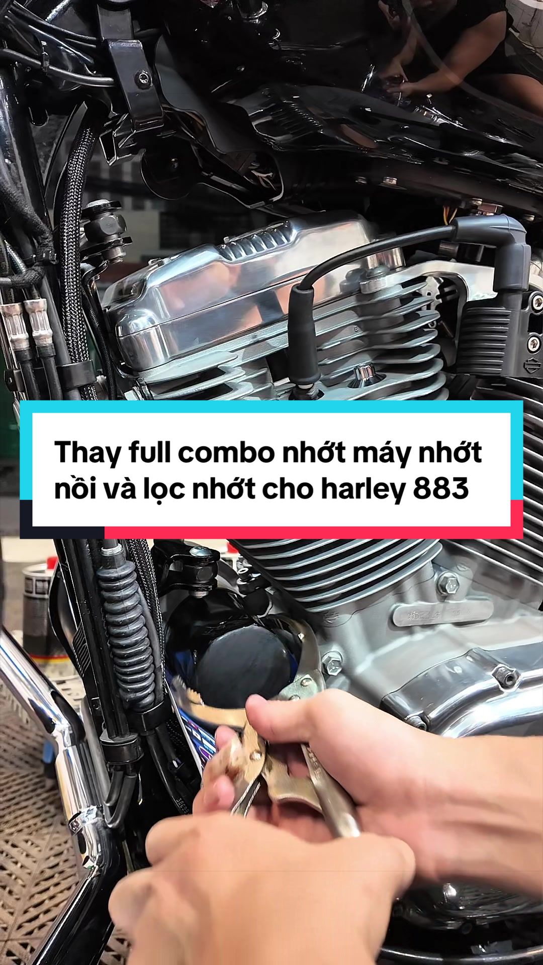 @Dương Nguyễn