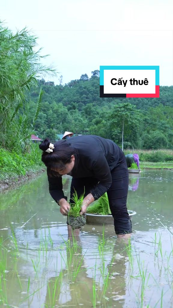 @Sức T&agrave;y