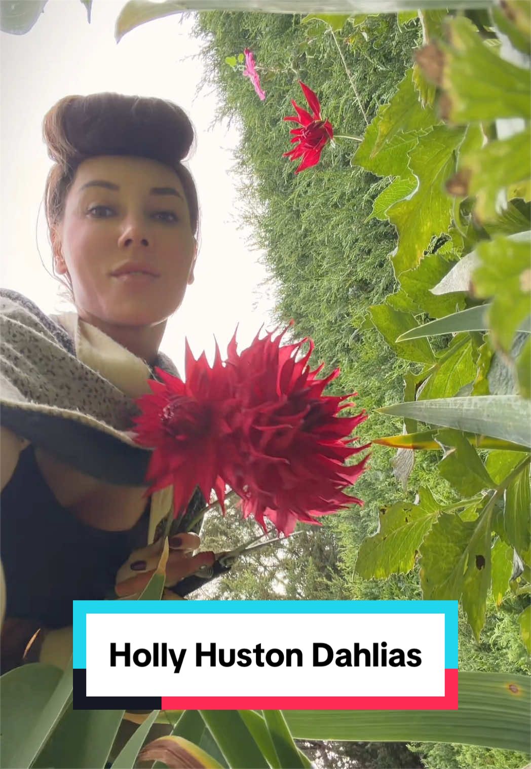 @Ava Dahlia 🇨🇦👩&zwj;🌾✌️