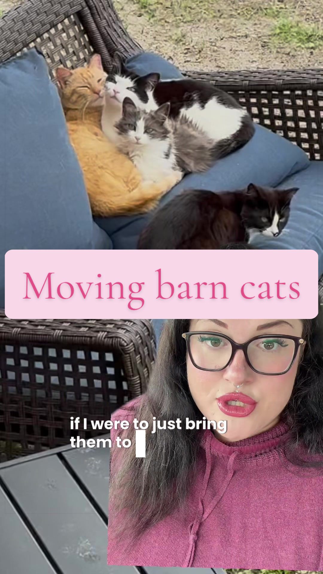 @Becca | Life + Animals 🇨🇦