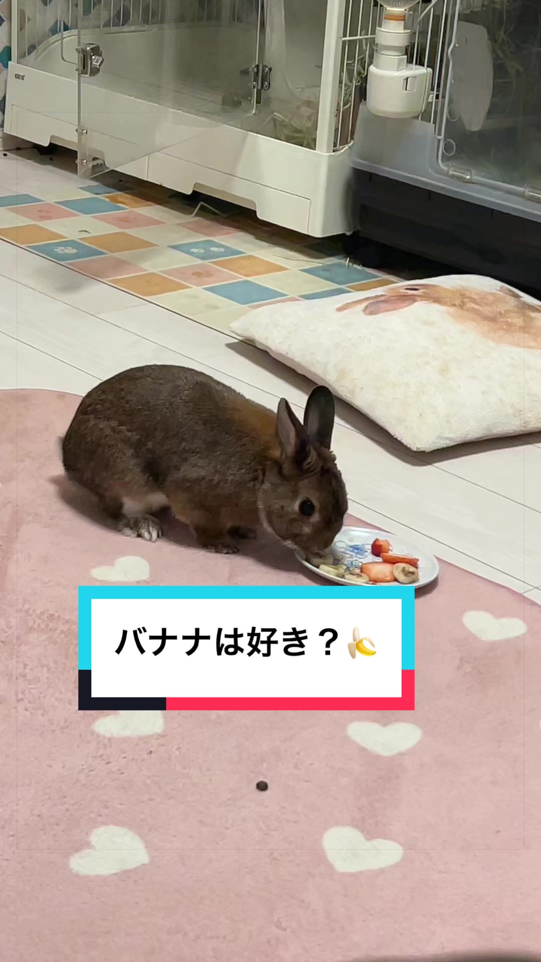 @さーちゃん🍩わらつぶ🐰