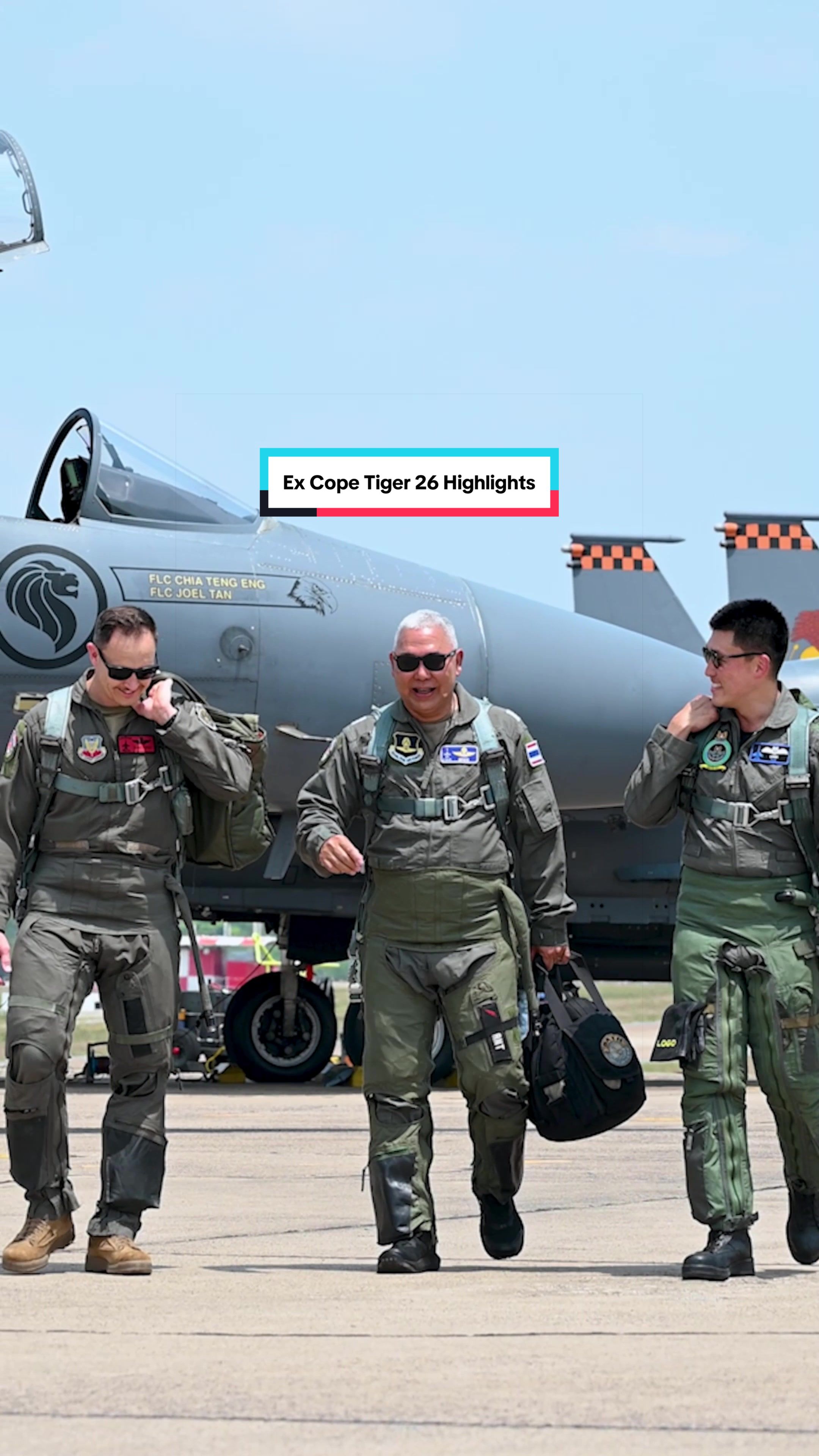 @TheRSAF