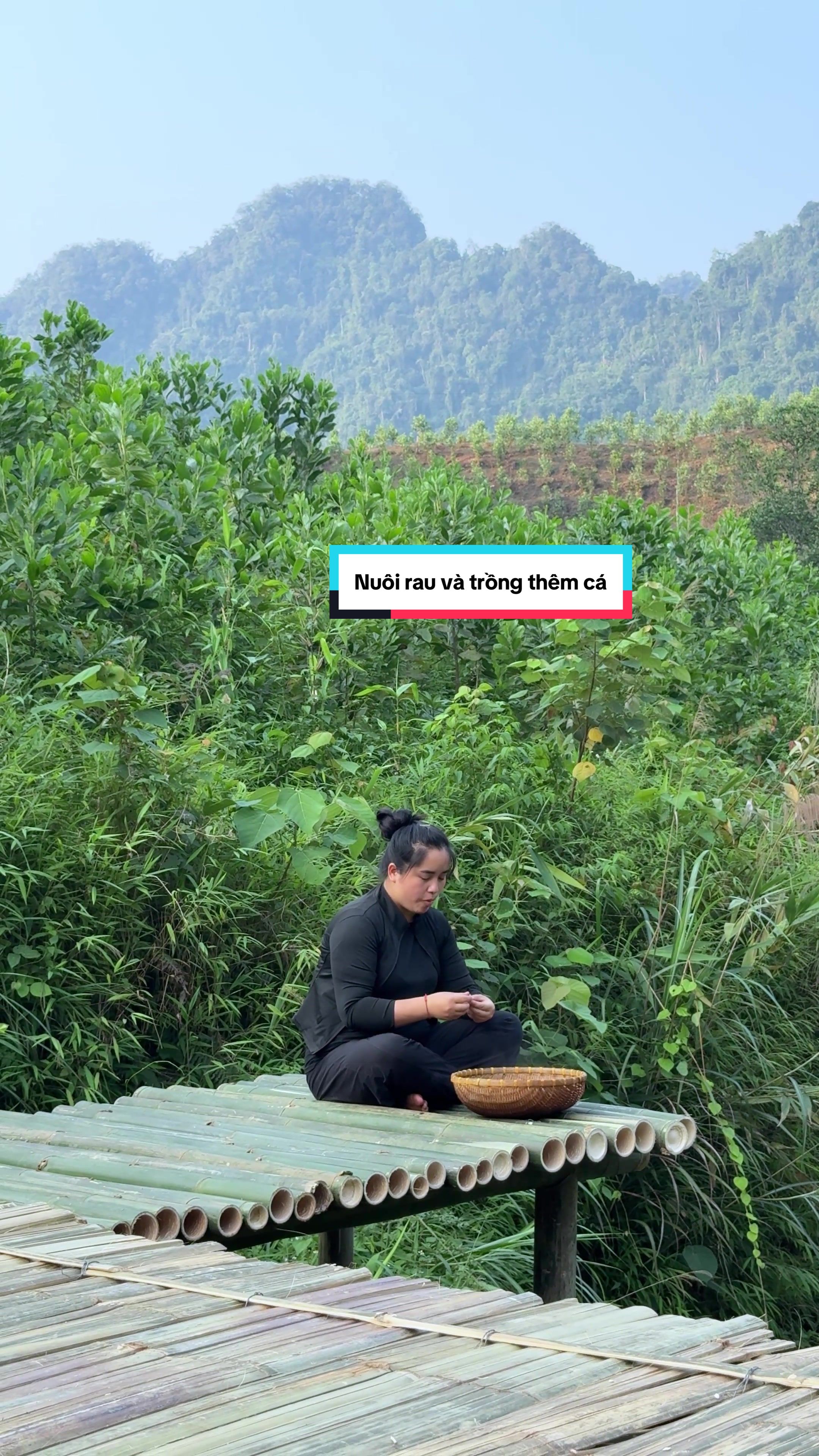 @Sức T&agrave;y
