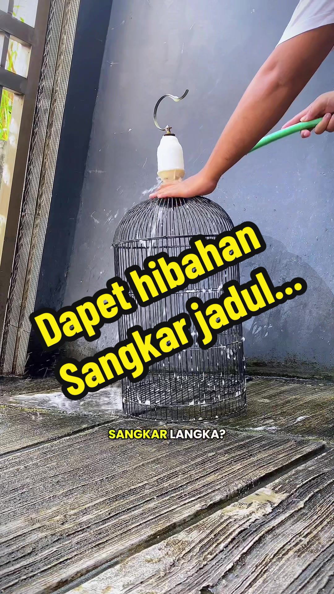 @GeDang Manuk