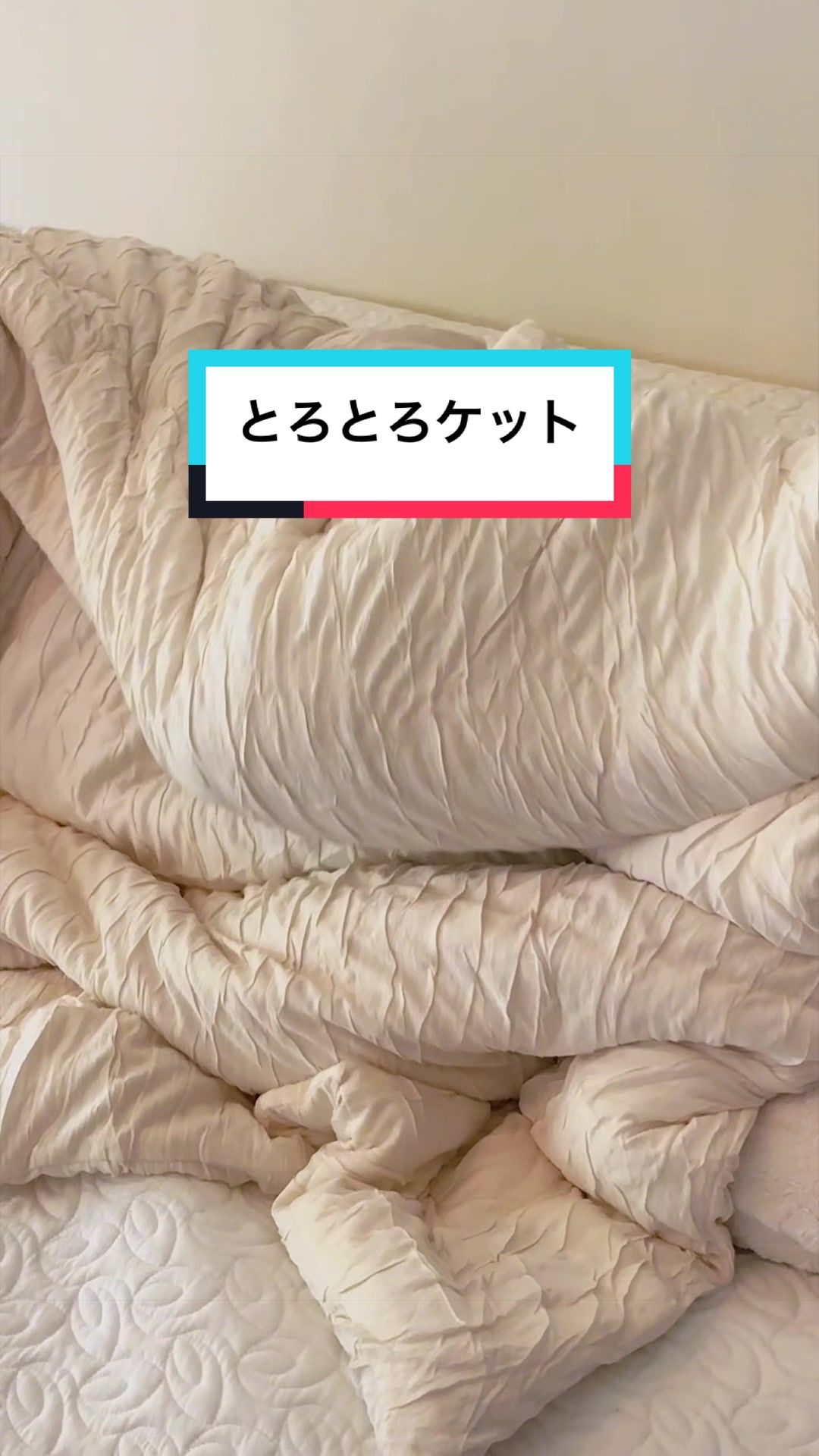 @しんのすけ🐾