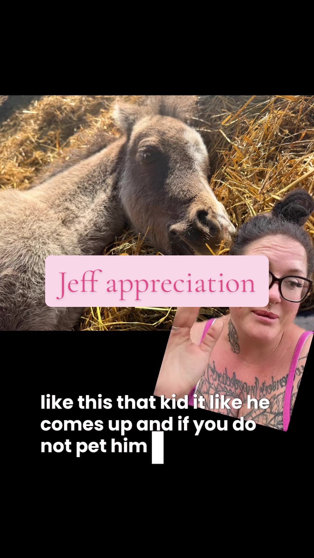 @Becca | Life + Animals 🇨🇦