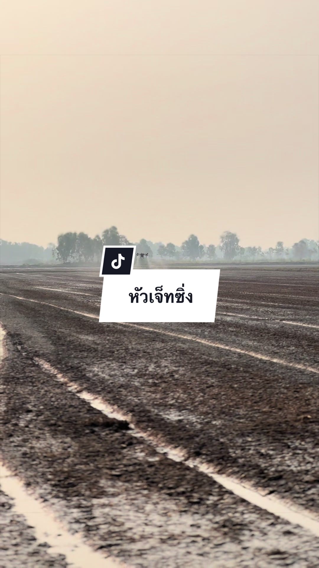 @อาเฮียหลี อาหลีเฮีย
