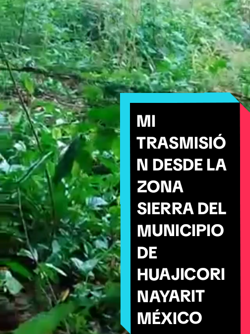 @Eliseo López