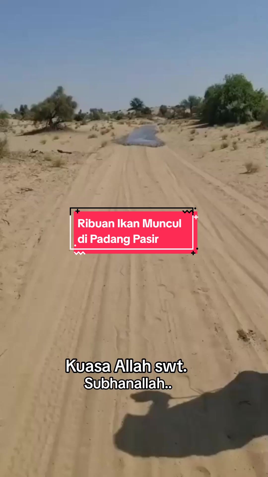 @Rizqi