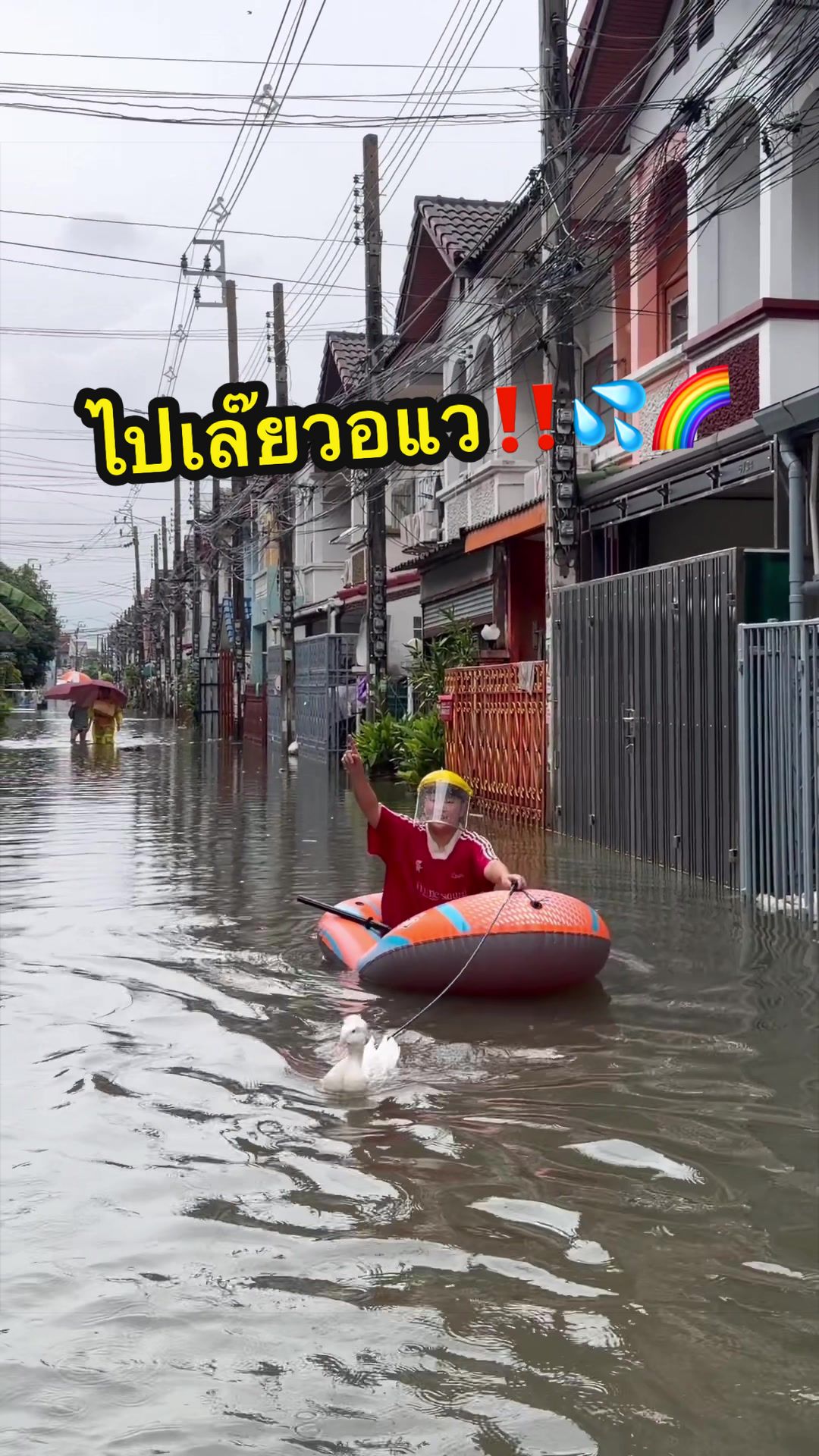 @วอแวเป็ดมีผม