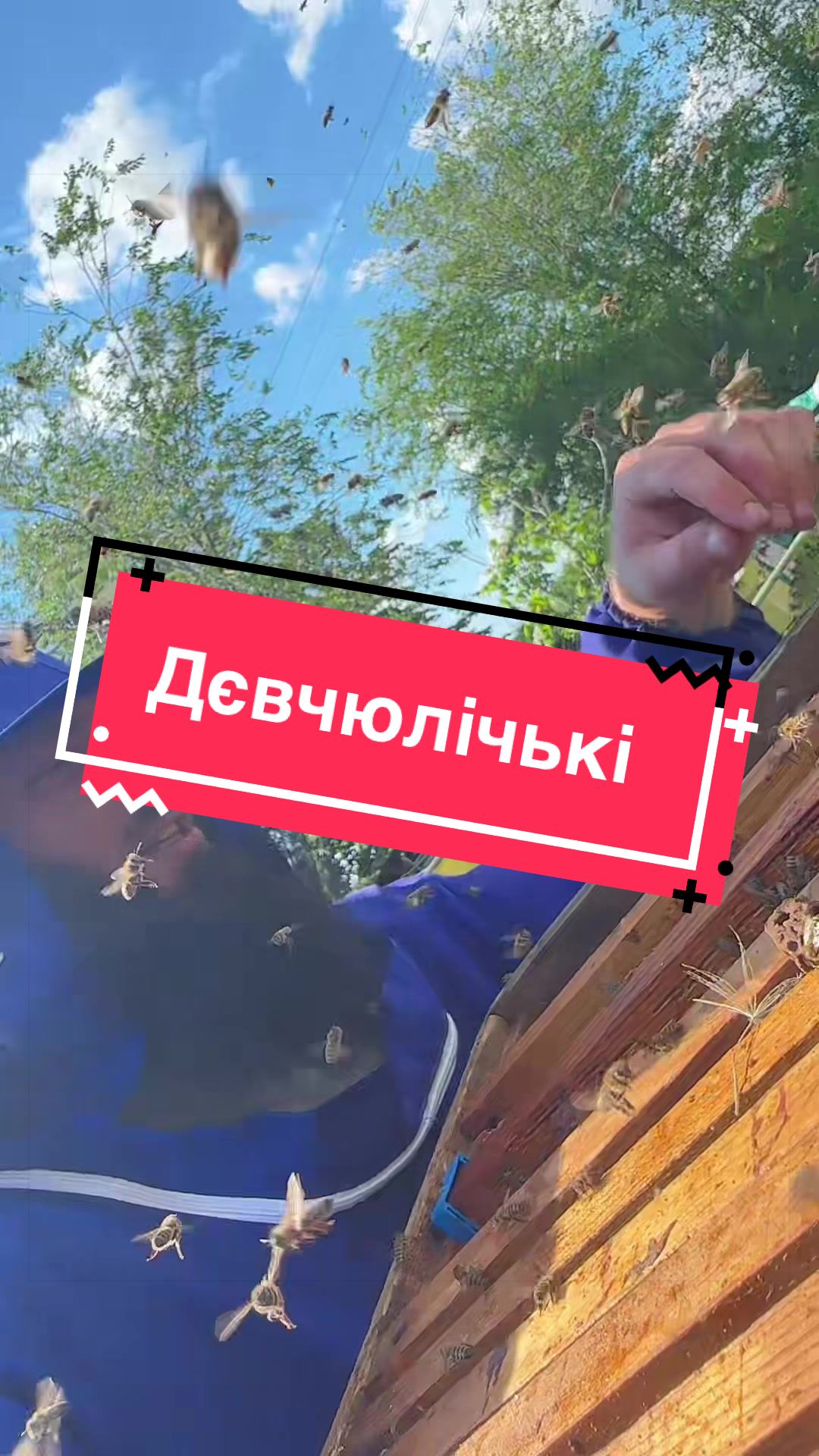 @Угнал Лифт
