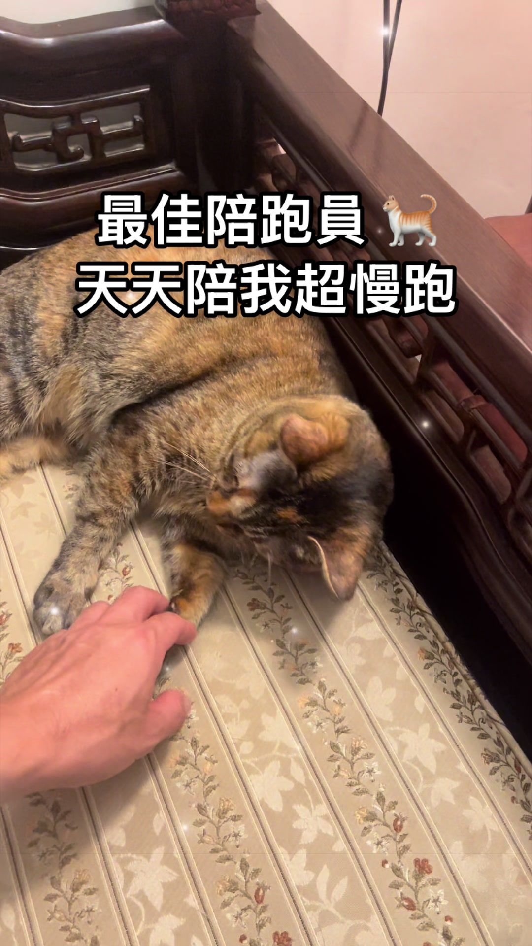 @Hans Lin
