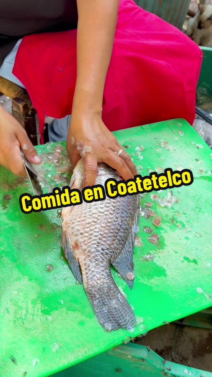@elbauldemorelosoficial