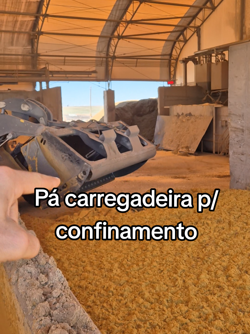 @Olavo Franco Bottino