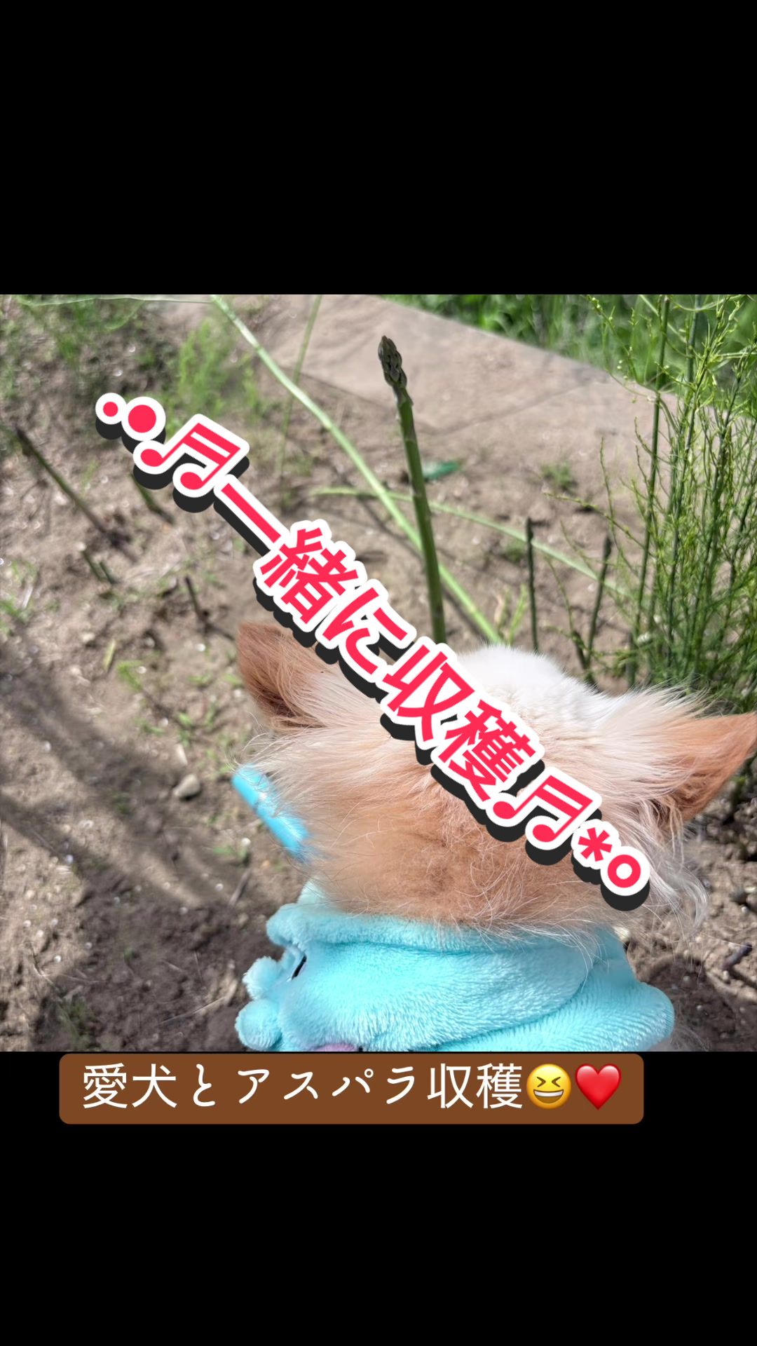 @𑁍︎&middot;͜&middot;えりぽんꫂ&nbsp;ၴႅၴ