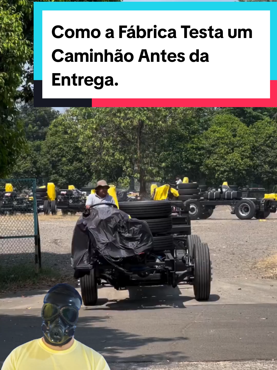 @Mundo da Curiosidades