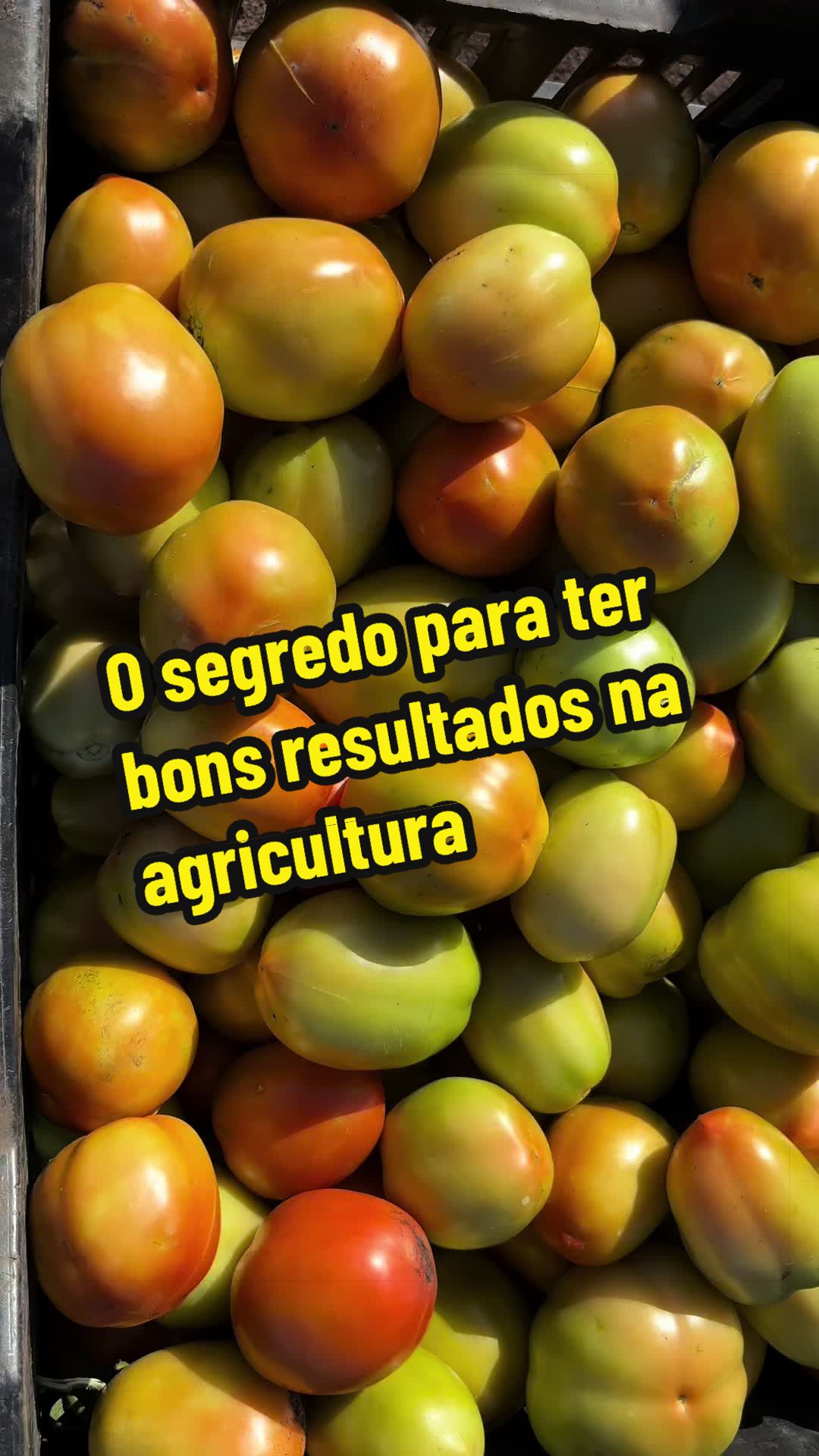 @Felicidade Gotine Firmino