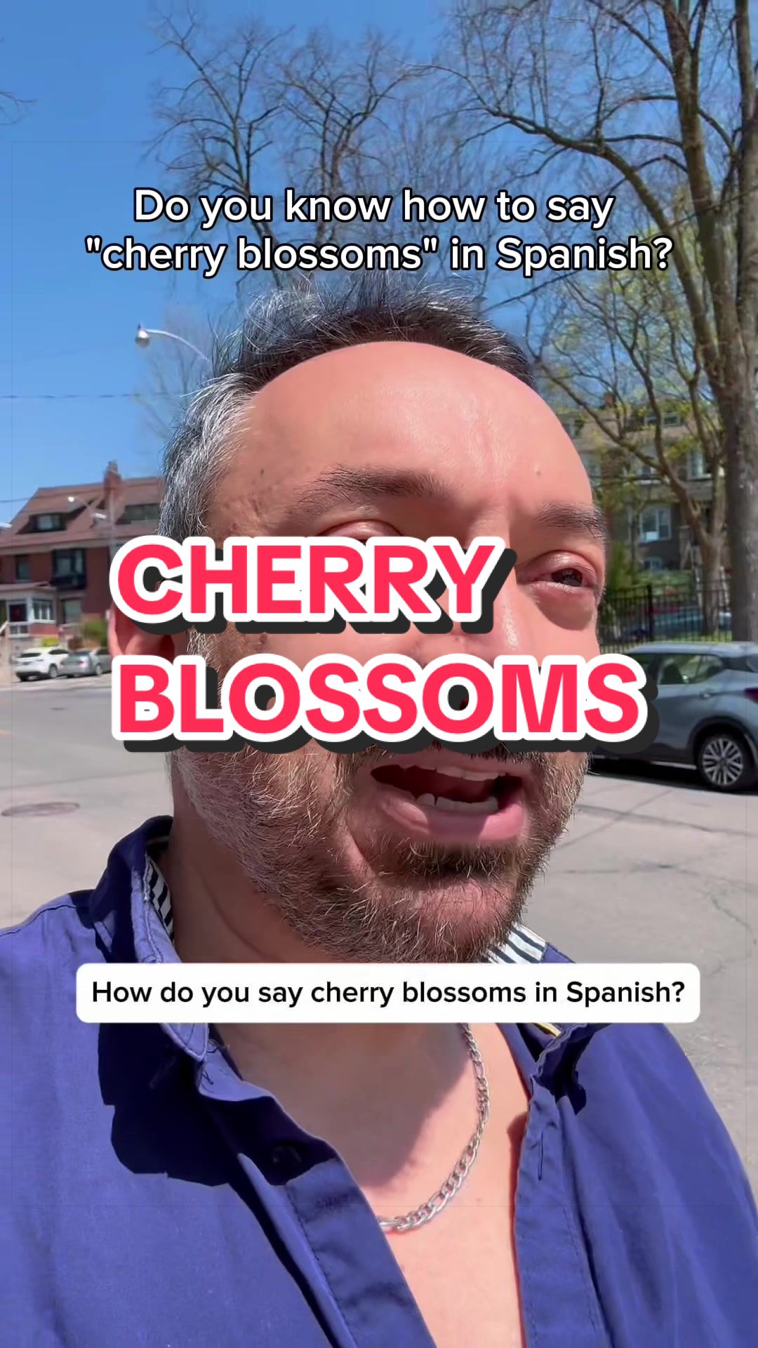 @David | The Spanish Enabler🗣️
