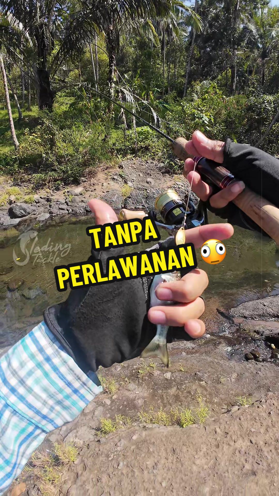 @Sleding Tackle