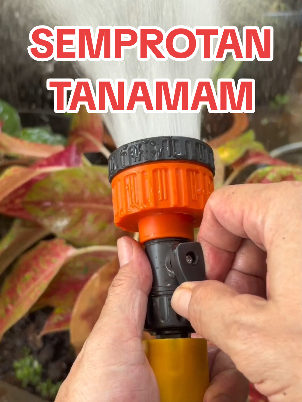 @OMANDITO