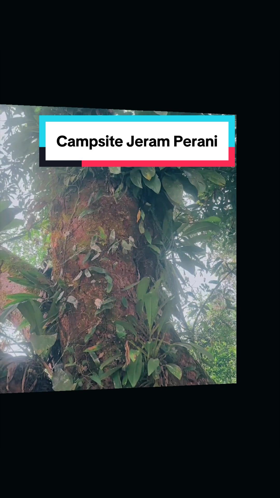 @Jangan Lokoh