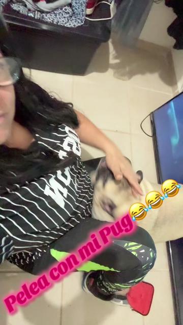 @Lic. Janys