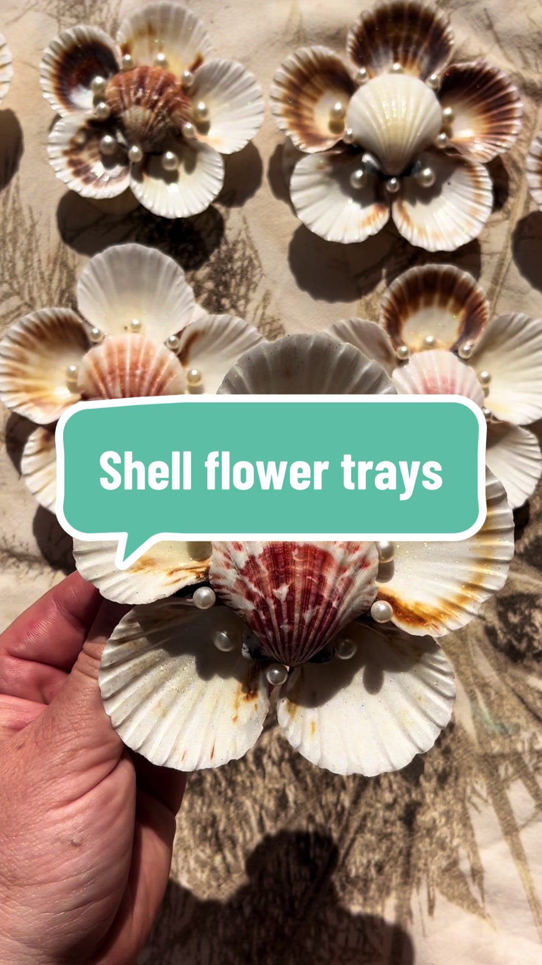 @Dusty J Designs | Shells