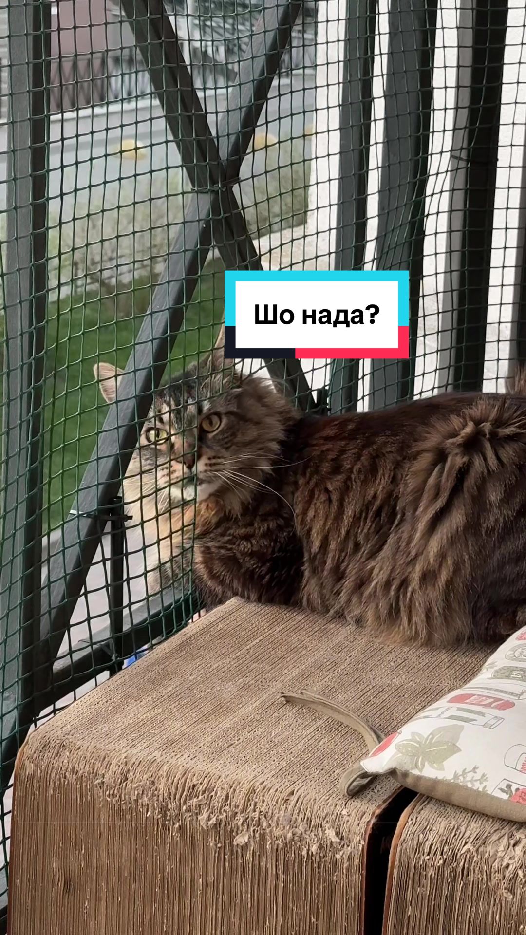 @Семенович