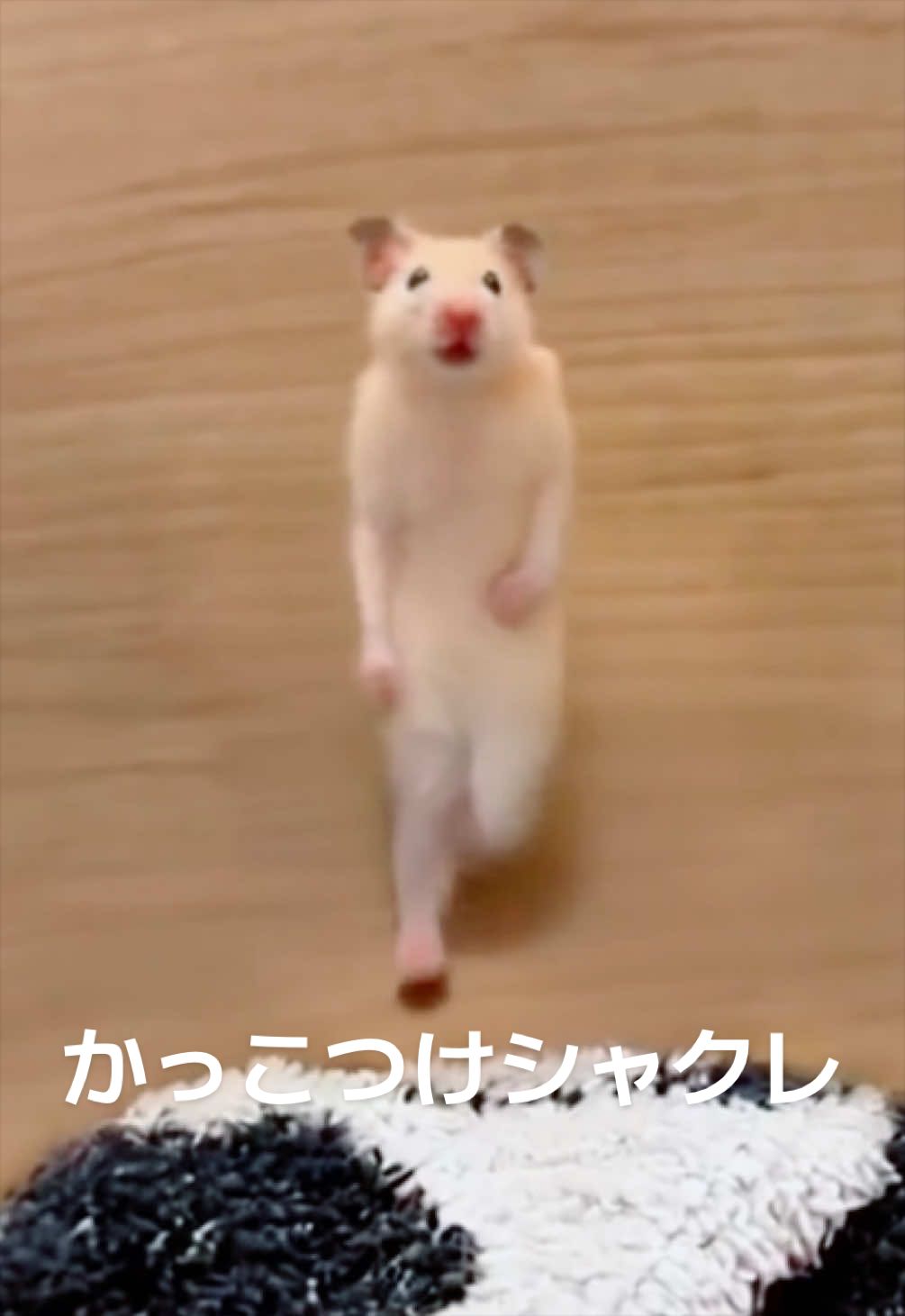 @FCham