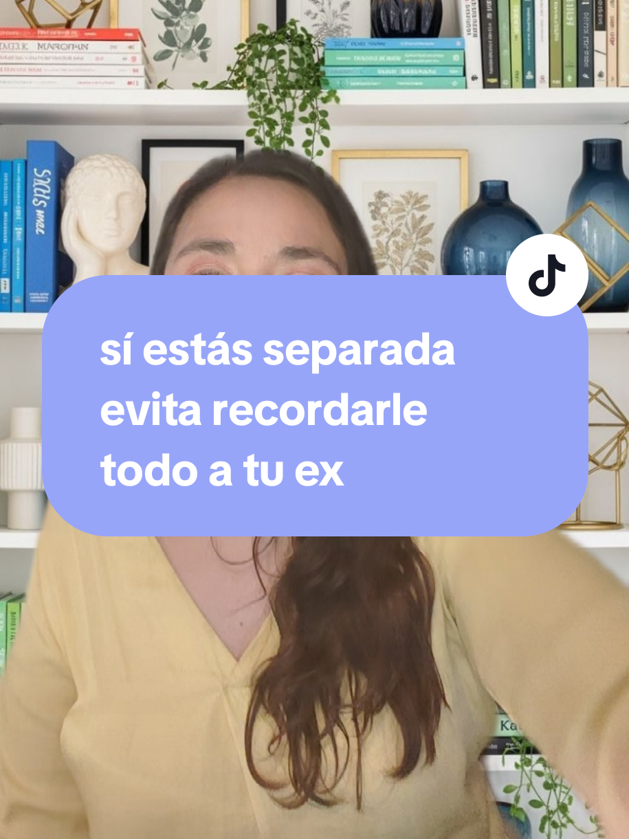 @organizatudivorcio